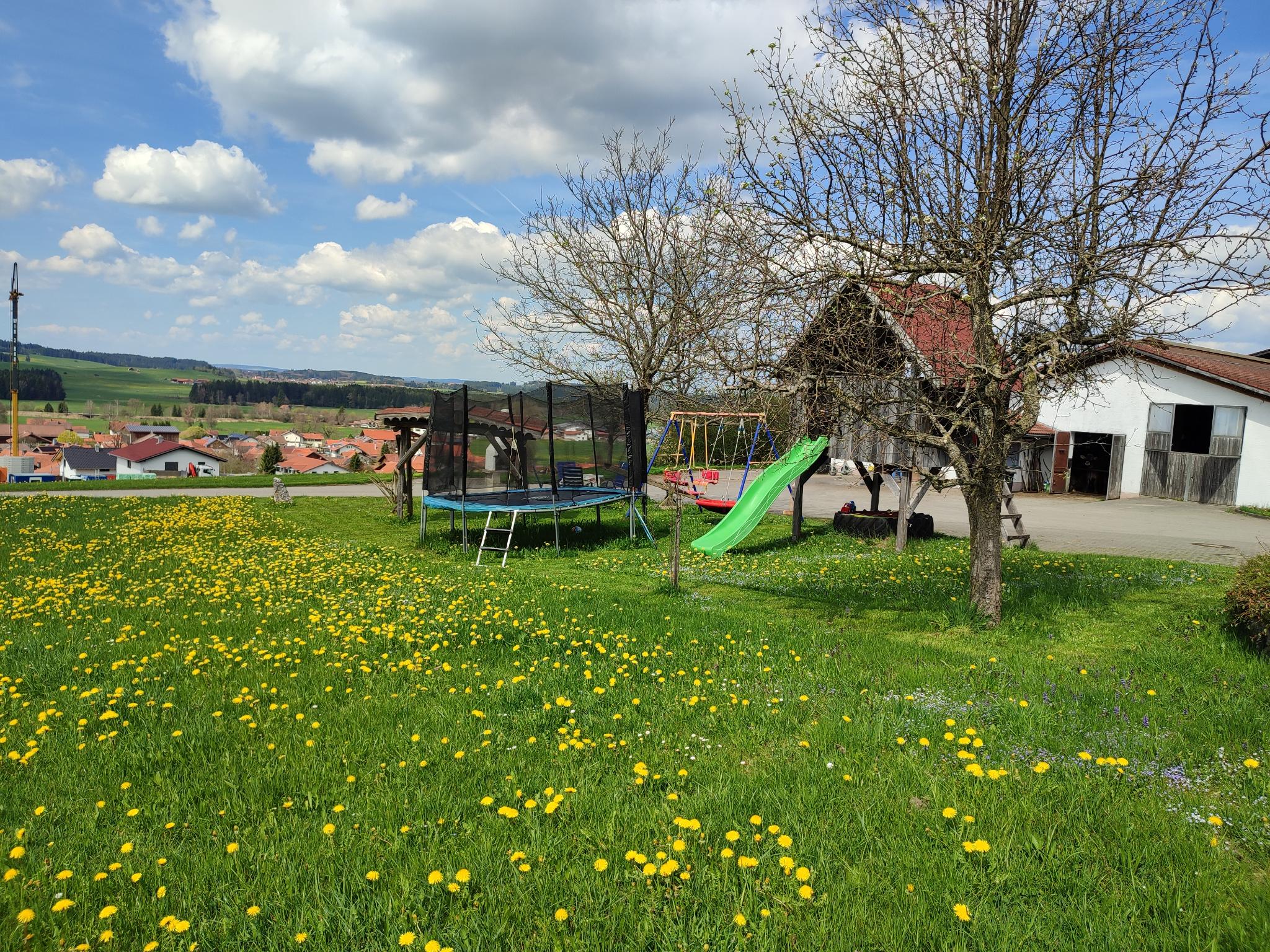 Vorschau: Ausblick von den naturnahen Camping-Stellplätzen auf die Wiesen