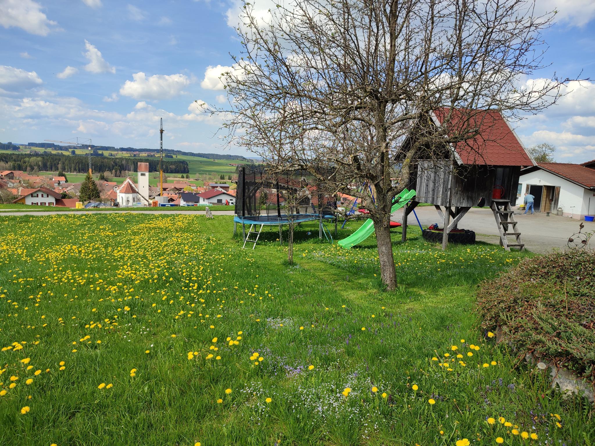 Vorschau: Grüne Campingwiese für Camper und Wohnmobile auf dem Sonnenhof