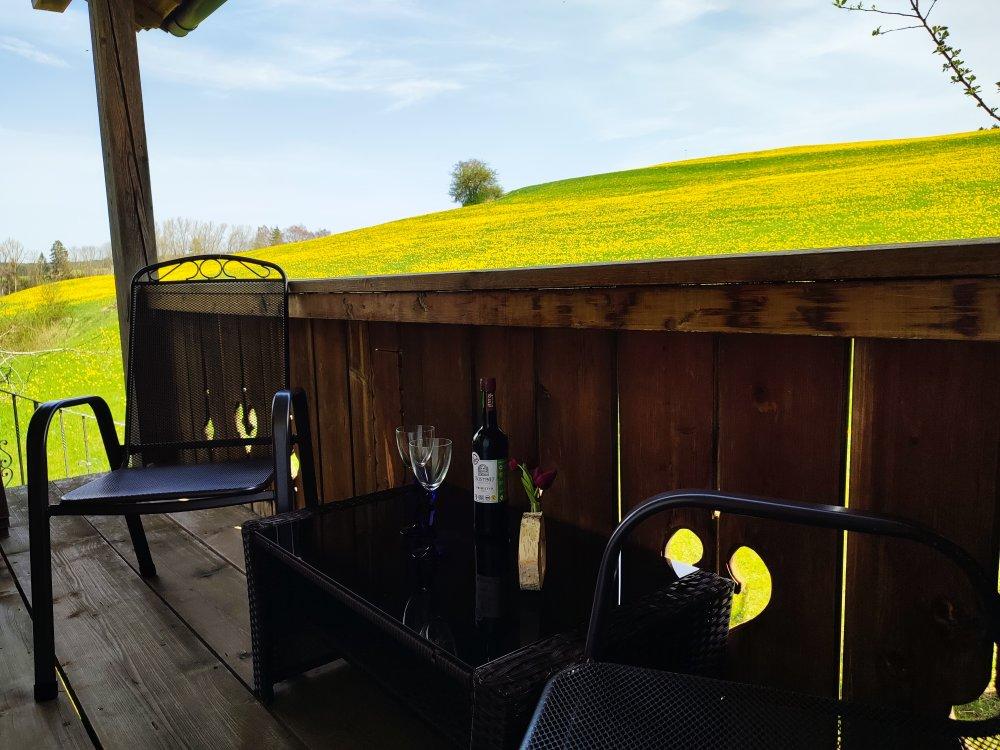Vorschau: Balkon mit traumhaftem Ausblick auf die Allgäuer Wiesen