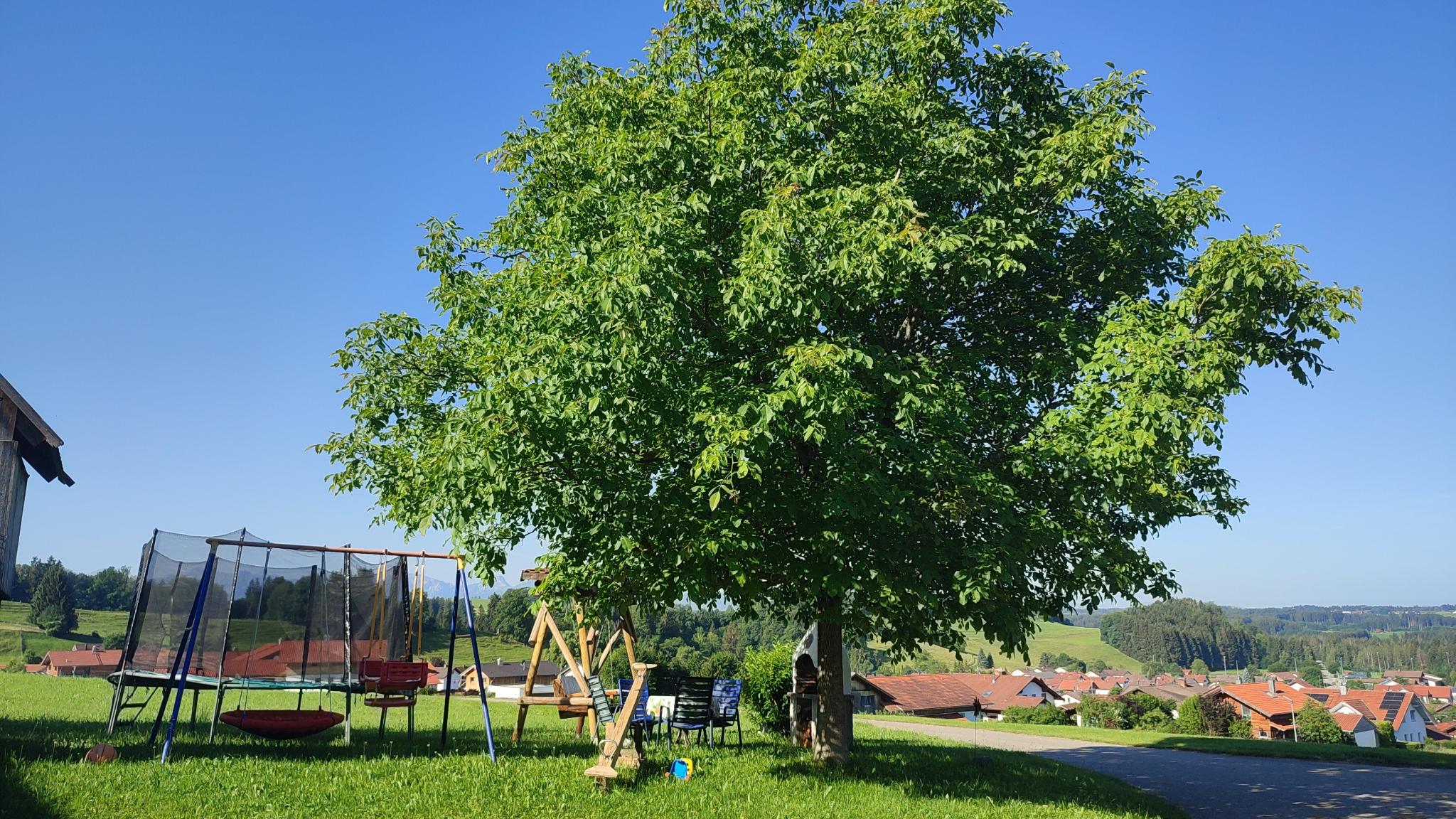 Vorschau: Bäume spenden Schatten direkt an der Campingwiese
